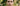 At-Home Treatment for Pitted Acne Scars: A Guide to Dermal Resurfacing - Skin Culture