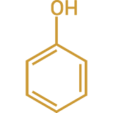 Phenol Molecular Symbol