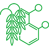 Salicylic Acid Symbol